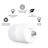 1 stovas su 1 soft box (2 lempos)