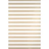 Roletai diena-naktis BH-1103 40cm x 160cm