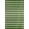 Roletai diena-naktis BH-1115 65cm x 160cm