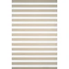 Roletai diena-naktis BH-1402 65cm x 160cm