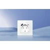 Sieninis šviestuvas Išmanusis WiFi sieninis lizdas Avatto N-WOT10-USB-W TUYA USB USB-C - baltas