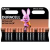 Duracell Basic AAA 12vnt.