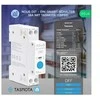 Nous D1T Tasmota 1 kanalo ESP3216A relė montuojama ant DIN bėgelio
