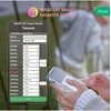 NOUS L6T Wifi Tasmota išmanioji relė 10A