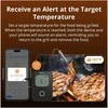 Sonoff BMT01 BBQ išmanusis Bluetooth termometras