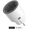 SONOFF S60 Zigbee išmanusis kištukas