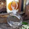 Crystal Bohemia Bohemia krištolinis Grafinas 650ml, Blank