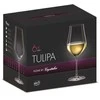 Crystalex Taurės baltam vynui,350 ml Tulipa