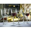 Crystalex Taurės vynui 350ml 6vnt,Royal 28010