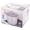 Odelo Puodas 24cm(9l), nerūdijantis plienas,su stikliniu dangčiu Arden