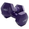 Sanro Viniliniai hanteliai KP-036 2x5kg