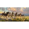 Castorland dėlionė ART kolekcija Thunder Prairie 4000 det.