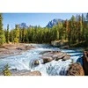 Castorland Dėlionė 1500 vnt. - Atabaskos upė, Jasper nacionalinis parkas, Kanada