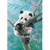 Castorland Dėlionė 500 vnt. - Panda
