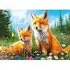 Castorland dėlionė Foxes In The Morning 260 det
