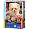 Castorland dėlionė Pomeranian Puppy in Roses 300 det.