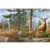 Castorland Dėlionė 4000 vnt. - Elnių šeima