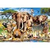 Castorland Dėlionė 1500 vnt. - Savanos gyvūnai