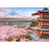 Castorland dėlionė Spring in Japan 500 det
