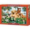 Castorland Dėlionė 500 vnt. - Gyvūnai