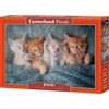 Castorland dėlionė The Sweetest Kittens 1000 det.
