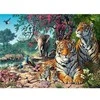 Castorland Dėlionė 3000 vnt. - Tigrai