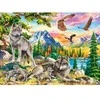 Castorland Dėlionė 300 vnt. - Vilkų šeima ir ereliai