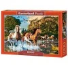 Castorland dėlionė Horse Wonderland 1000 det