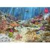 Cherry Pazzi CherryPazzi dėlionė Coral Reef Paradise 2000 det.