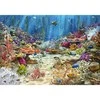 Cherry Pazzi CherryPazzi dėlionė Coral Reef Paradise 2000 det.