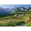 Cherry Pazzi CherryPazzi dėlionė Gasienicowa hall in Tatras 1000 det.