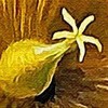 Cherry Pazzi CherryPazzi dėlionė Golden Nature 1000 det.