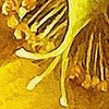 Cherry Pazzi CherryPazzi dėlionė Golden Nature 1000 det.