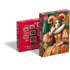 Platon CherryPazzi dėlionė Arlequin 1000 det