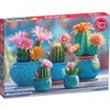 Platon CherryPazzi dėlionė Bloomy Cactus Fireworks 1000 det