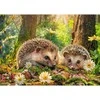 Timaro CherryPazzi dėlionė Cute Visitors 500 det