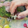 Platon CherryPazzi dėlionė Grape Splendor 1000 det