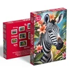 Platon CherryPazzi dėlionė Lady Zebra 1000 det