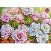 CherryPazzi dėlionė Peonyssimo Opus 5 1000 det