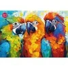 Platon CherryPazzi dėlionė Tropical Trio 500 det
