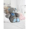 Fancy minkštas žaislas meškinas Silveris 48 cm