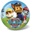 STAR kamuolys Paw Patrol mėlynas 23 cm