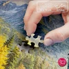 TIMARO SP. Z O.O. CherryPazzi dėlionė The Golden Express 1000 det