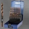Grąžtas Bohrcraft Turbo step grąžtų rinkinys HSS-E Co5 DIN 338, 19-pcs., ABS-Box 1 – 10 mm x 0,5 mm, STEP INOX