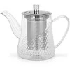 Fissman Arbatinukas 600 ml su plieniniu filtru (stiklinis)