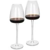 Fissman Raudonojo vyno taurių rinkinys 500 ml x 2 vnt. (stiklas)