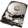 „CoreParts“ 2TB 3,5 colio SATA III (6 Gb/s) serverio diskas (IA2T2I253)