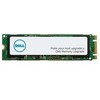 Dysk serwerowy Dell 1TB PCI-E x4 Gen 4 NVMe (9H.LLSLJ.LBE)