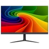 Monitorius Ernitec 0070-24124-F