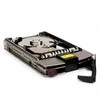 Hewlett Packard (HP) 146GB SCSI HP Ultra320 15K RPM **Refurbished** (Atnaujinta)